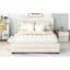 Queen Upholstered Platform Bed with Trundle & 2 Storage Drawers, Modern Bedroom Furniture, Beige