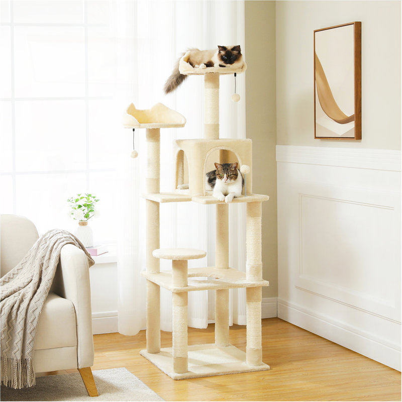 Centre d'activités Ultimate Cat, Beige