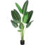 Fausse feuille de bananier en pot-701061196