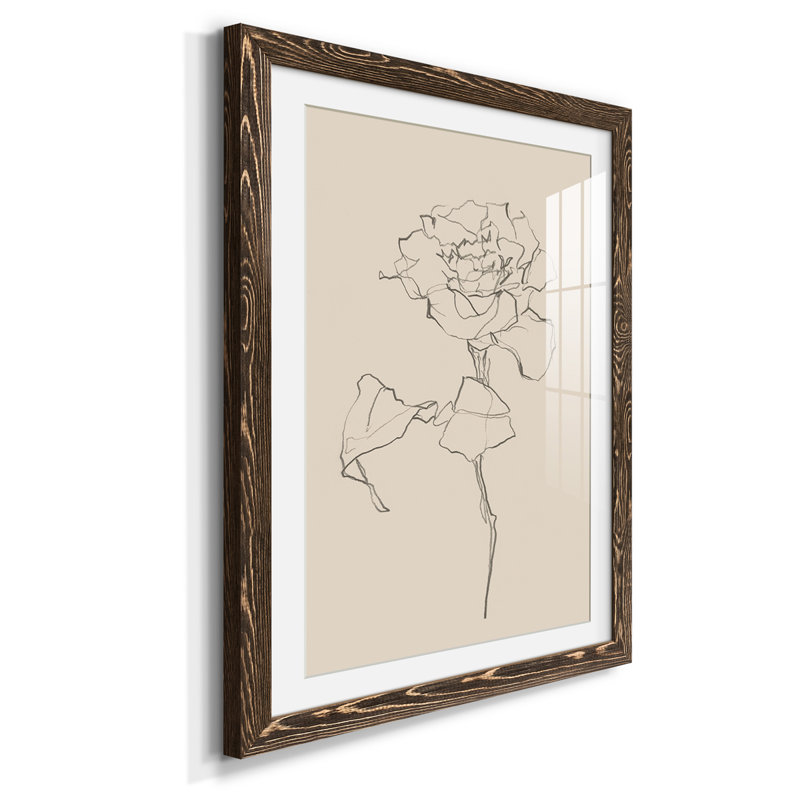 Floral Contour Study I Premium encadré mat - prêt à être accroché, Noyer, H 37,5 po x l 82,5 po x P 1 po
