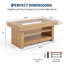 Table basse rectangulaire moderne de 120 cm (47,2 po) avec tablette de rangement ouverte à 2 niveaux, plateau en verre trempé, structure en bois robuste, table centrale de salon-1410655436