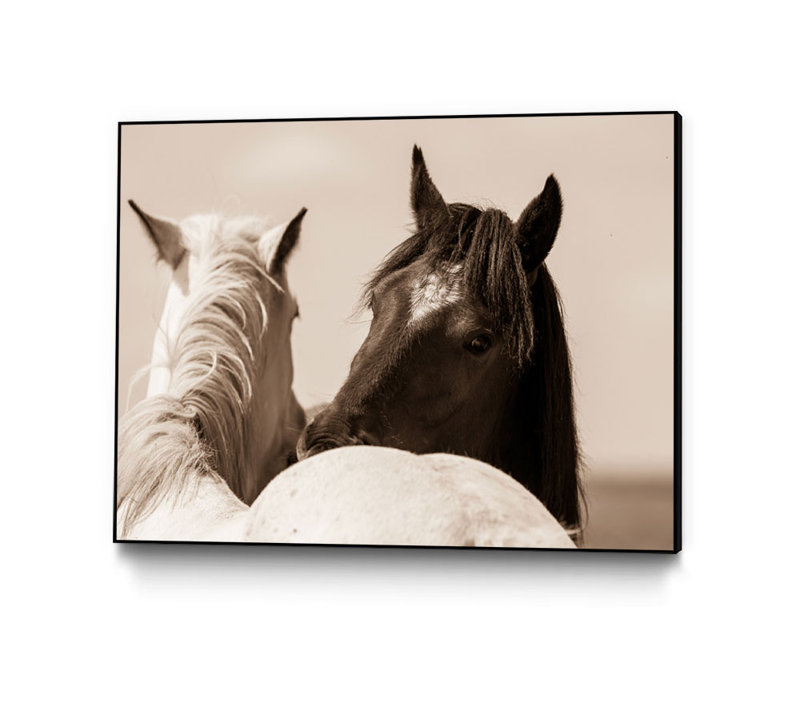 « nuzzles », reproduction de photo sur toile, H 24 po x l 36 po x P 2 po