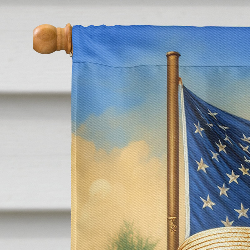 Drapeau «All American House», Barzoï