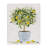 " Lemon Tree Detailed Planter " by Ziwei Li-192527834