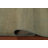 Green Gabbeh Modern Runner Rug 3x10
