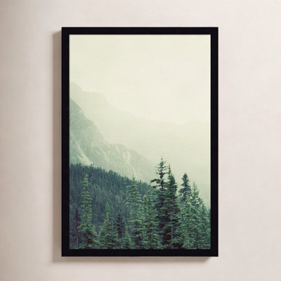 Rocky Mountain Trees 7 Photo Print