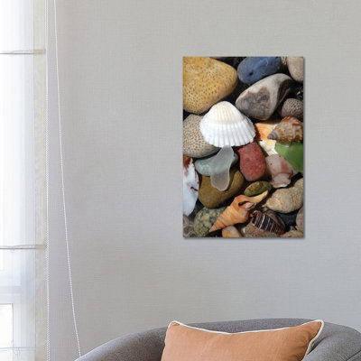 Petoskey Stones IV 1 Piece Wrapped Canvas Wall Art