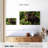Brampt Wild Bull Moose-107875337