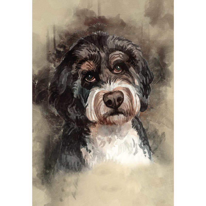 Bernedoodle - No Frame Painting, Gallery Metal, 39.4cm H x 29.5cm W