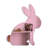 Pink Bunny Silhouette Wall Mirror