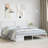 Chuckie SvidaXL Metal Bed Frame, Sturdy Steel, No Mattress-685088314-685088313