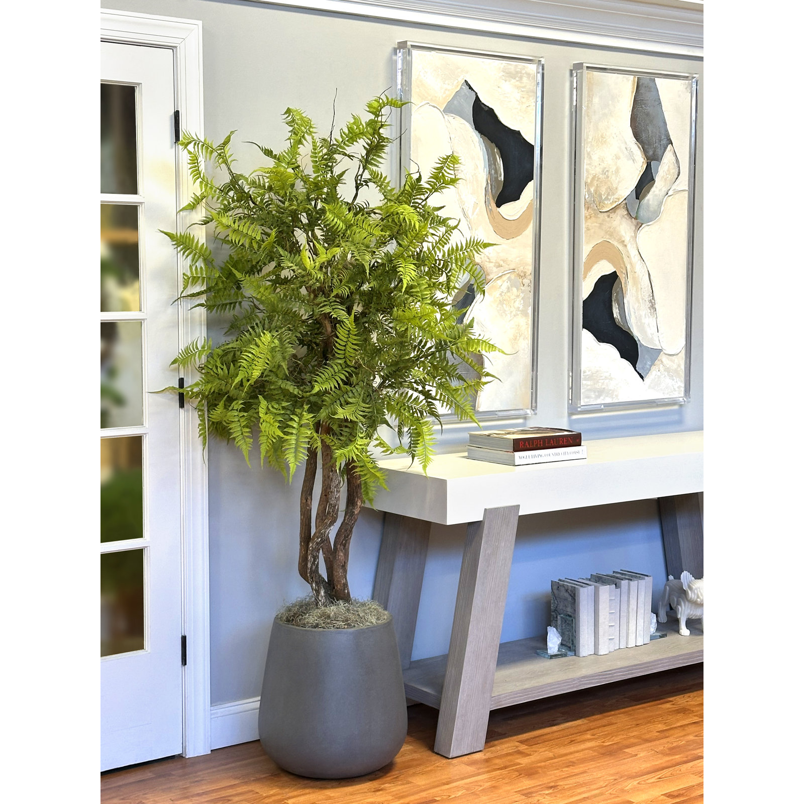 Mountain Fern Tree in Fiberstone Pot