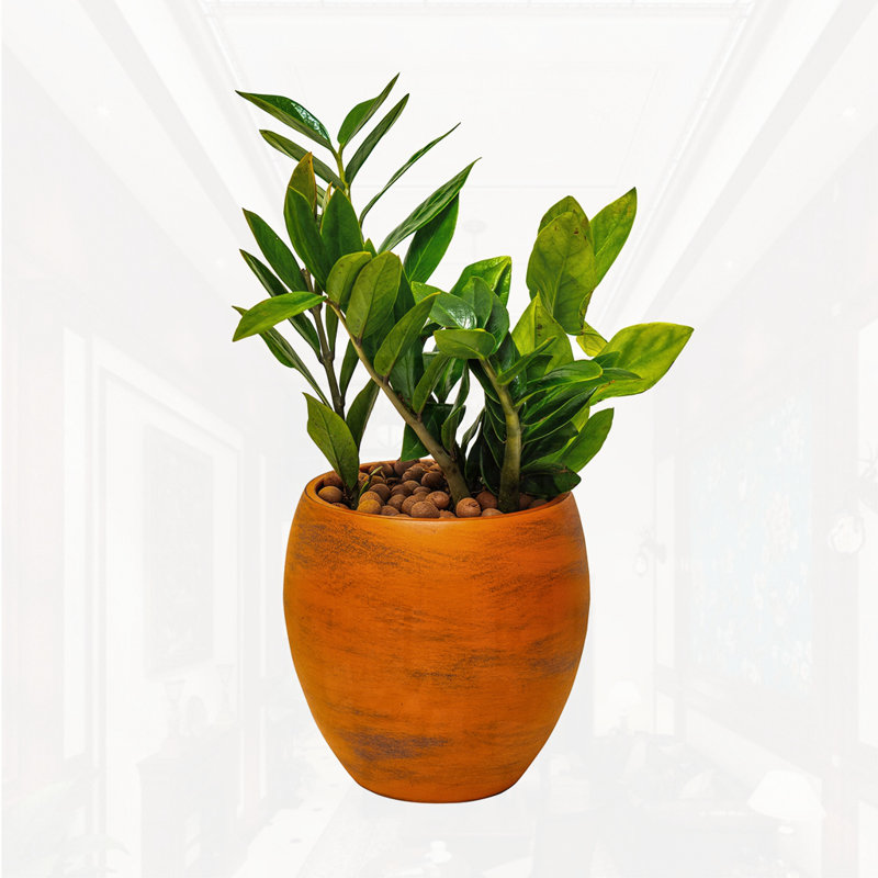 Smart Self-watering Round Planter Pot, Terracotta