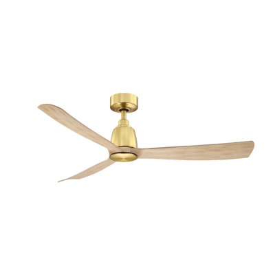 Ventilateur de plafond intelligent d'intérieur / extérieur Kute avec télécommande