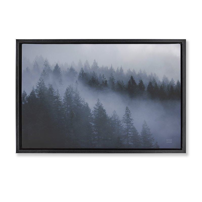  Toile flottante «Fog Fillers Trees Landscape» par Nathan Larson, H 17 po x l 25 po, Cadre flottant noir de jais