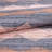 Soft and Durable Hall Carpet, 100% Polyester, 29.5 x 59.1 inches | 1850 g/m² Density, 0.16 inches Pile Height | Recycled Poly Cotton Underside, Machine Washable at 30°C | Ideal for Entryways and Living Spaces-80613544