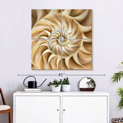 Nautilus Symmetry
