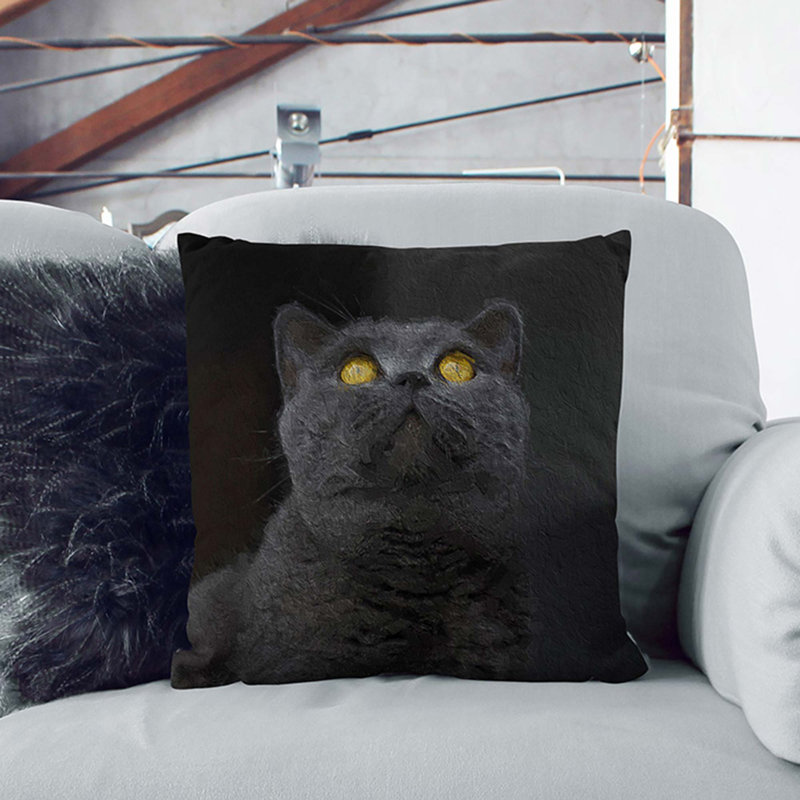 British Shorthair Cat In The Shadows Square Throw Cushion, 40cm H x 40cm W x 15cm D