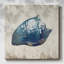 Blue Shell II - peinture sur toile tendue-1617108546
