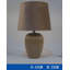 Allivia Metal Table Lamp