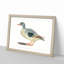 Duck by Johan Teyler - Framed Print-55620987-55620989
