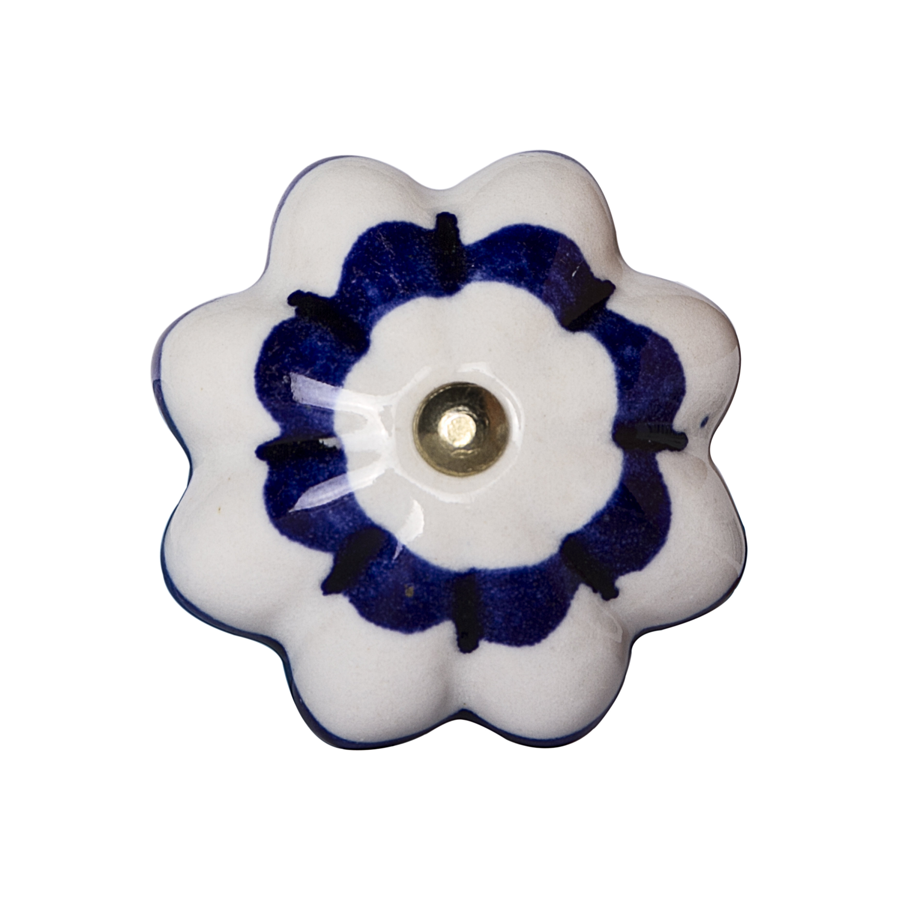 Taj Hotel Hand Painted Novelty Knob Multipack & Reviews | Wayfair