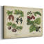 Kitchen Kitchen III, toile tendue Kitchen-1670894796