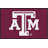 Collegiate Indoor Rug-12474945