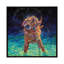 « moonlight nage » par iris scott, reproduction d’impression-49902875-49902857