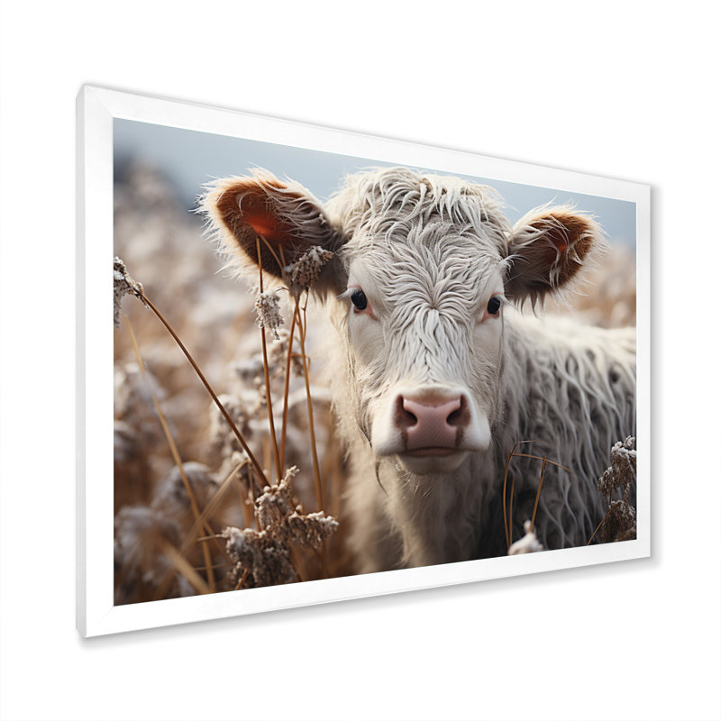 Cow Cow Portrait, reproduction d'art sur toile, Cadre simple blanc, H 34 po x l 44 po x P 1,5 po
