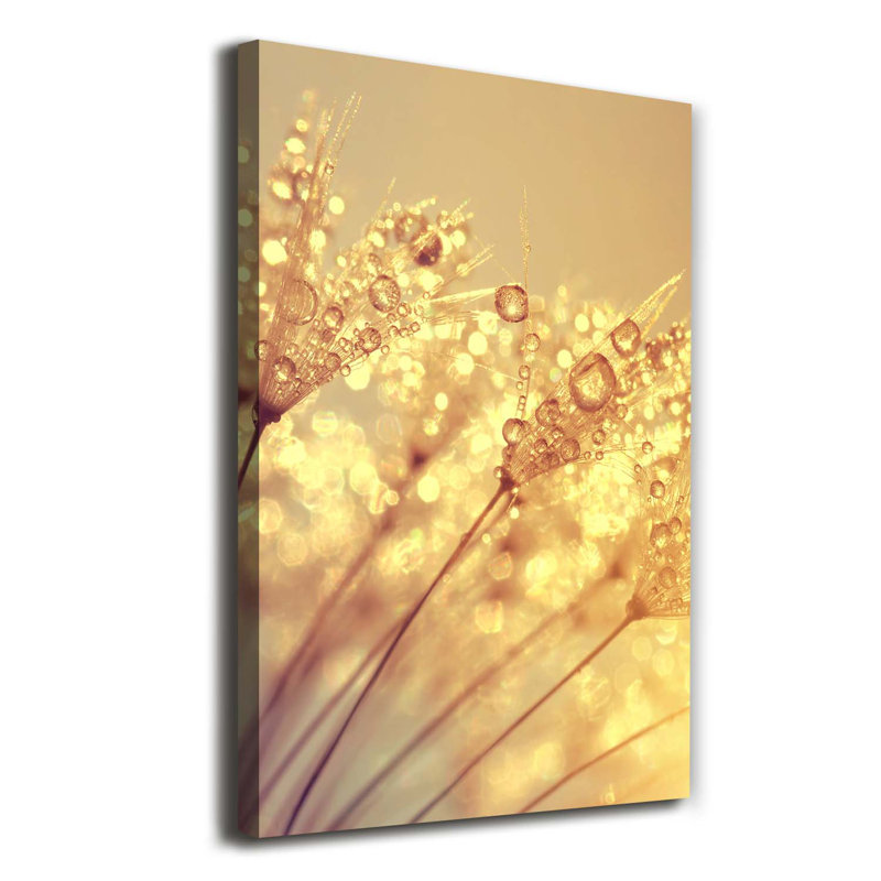 Dandelion Seeds - Wrapped Canvas Print