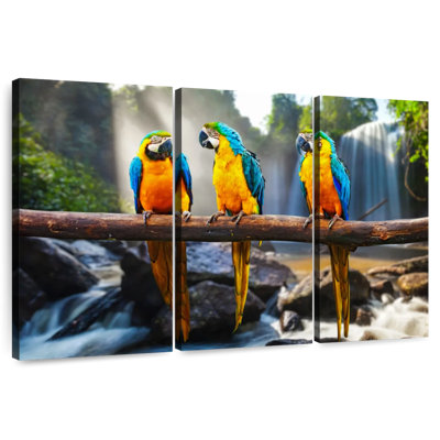 Macaw Friends