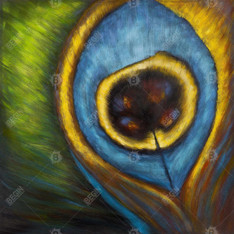 " Peacock Feather Closeup ", Shape