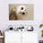 Brampt Barn Owl Gaze-107679677