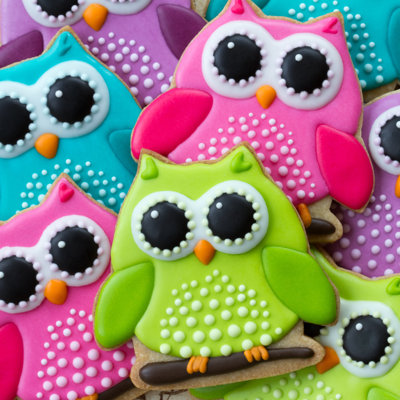 Owl Cookies - Photographie sur toile tendue
