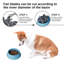 Pet Slow Feeder Bowl Anti-Skid Slow Feeder-114547629