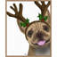 «French Bulldog Antler 2» par Fab Funky, reproduction d'art sur toile encadrée