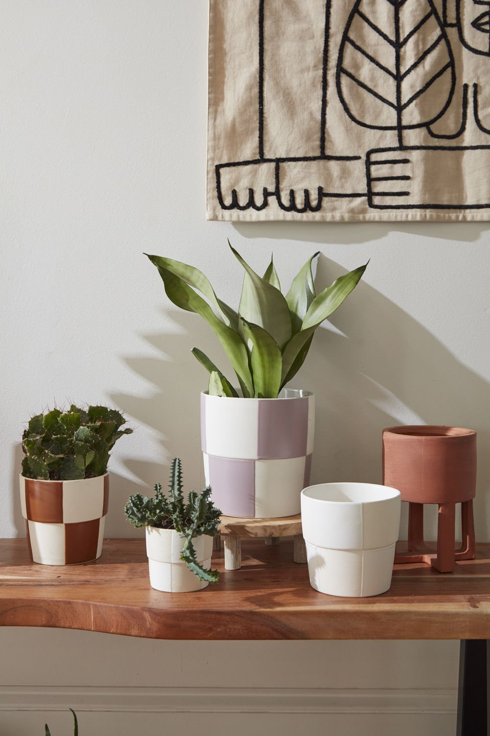 Caitlin 7" Ceramic Pot Planter, 5" H x 5" W x 5" D