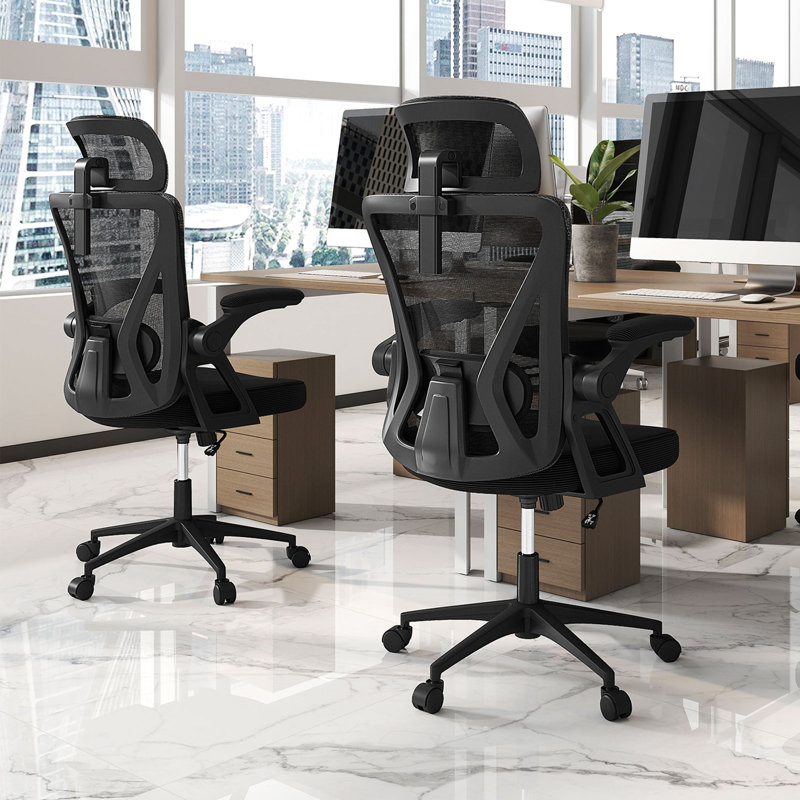 Ergonomic Mesh Office Chair w/ Lumbar Support 2D Headrest Flip-up Padded Arms