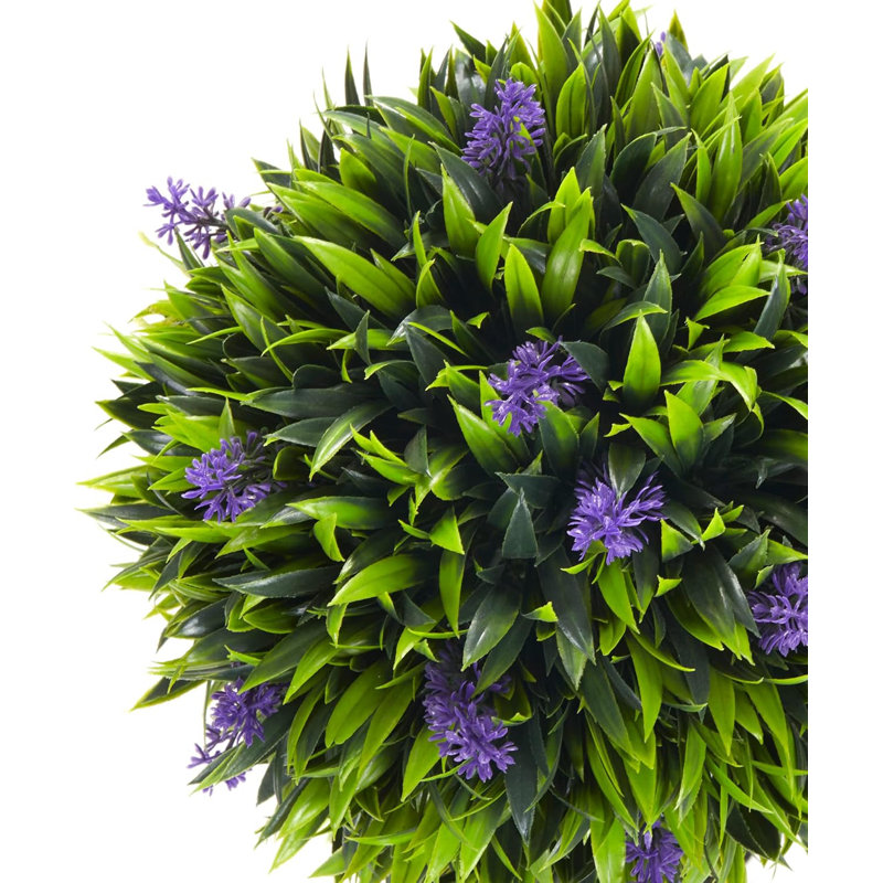 60cm Plant, Purple