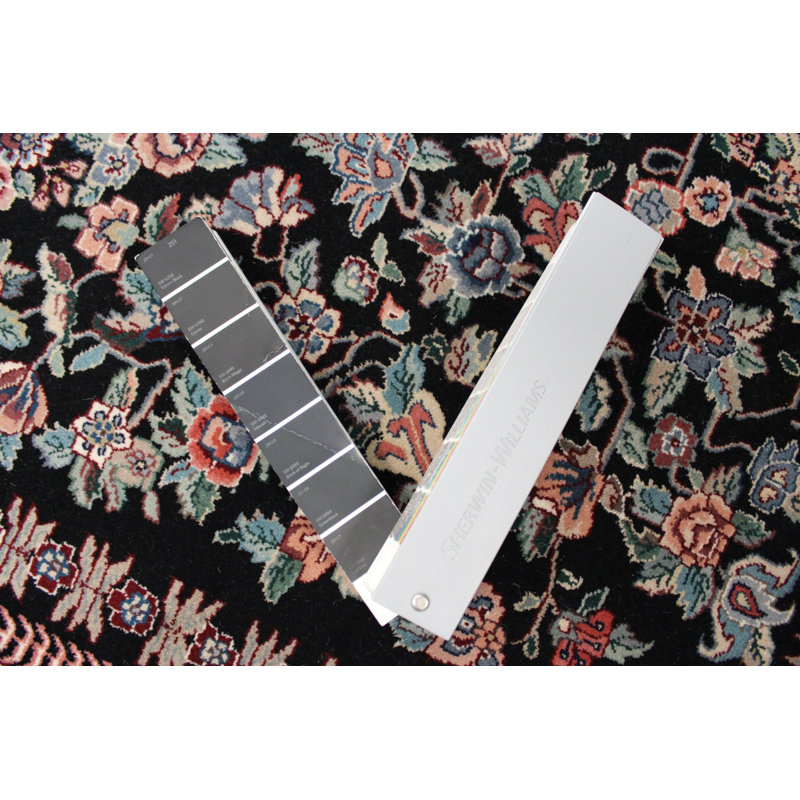 Oriental Area Rug in Black