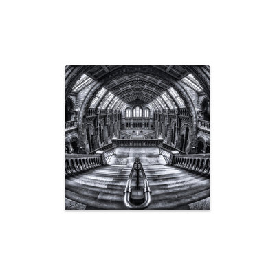 Harry Potter rencontre Escher et Darwin