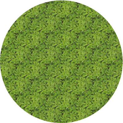 Vert Tapis décoratif