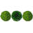 Jayceon Box of 3 Preserved Decorative Boxwood and Reindeer Moss Topiary Balls