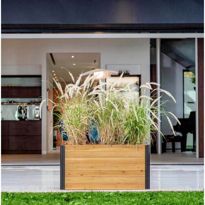 Mezza 39" Cedar Parklette Planter with Black Posts