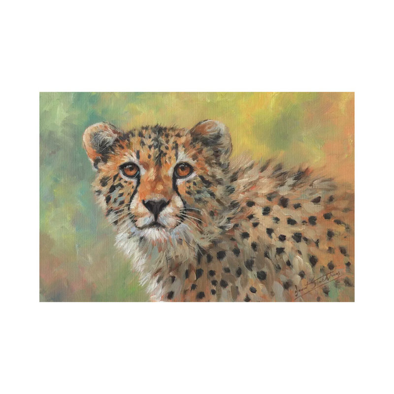 Portrait Of A Cheetah by David Stribbling - Wrapped Canvas Gallery-Wrapped Canvas Giclée, 66.04cm H x 101.6cm W