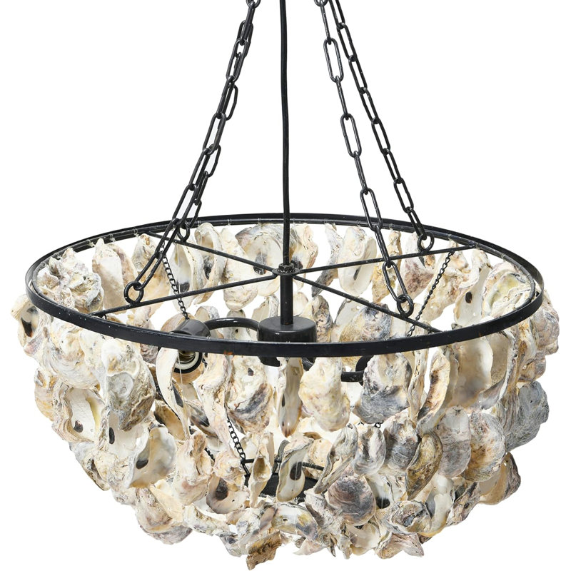 Round Oyster Shell Chandelier With 2 Lights, Coastal-Inspired Metal Frame, And Draped Natural Shells