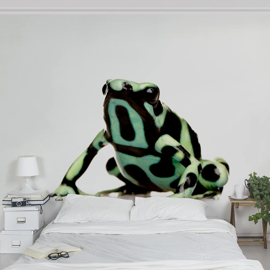 Strukturierte Tapete Zebra Frog 1,92 m x 192 cm