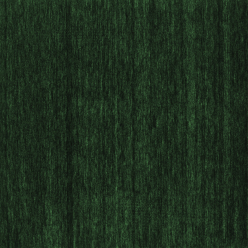 Tapis contemporains vert émeraude lavable à la machine 1789, Carré 5 pi