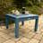 Anette Outdoor Adirondack Chair With Table-836815653